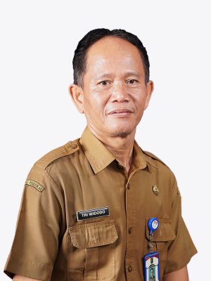 TRI WIDODO S.T.